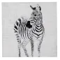 OBRAZ NA PŁÓTNIE ZEBRA - B 80X80 cm